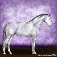 Horse Color:Painted White Spotted Sable Champagne Chinchilla Ice Onyx Splash 