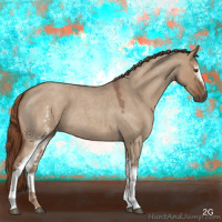Horse Color:White Spotted Red Dun Roan 