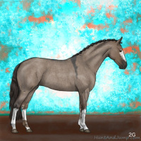 Horse Color:White Spotted Liver Red Dun Roan 