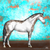 Horse Color:White Spotted Brown Dun Frame Rabicano 