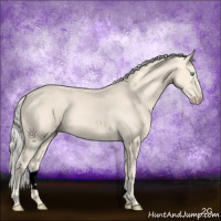 Horse Color:Void Cremello Sabino