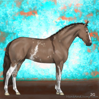 Horse Color:White Spotted Liver Red Dun 
