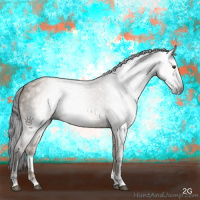 Horse Color:Gray Liver Red Dun Sabino