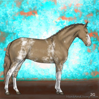Horse Color:White Spotted Chocolate Palomino Dun 