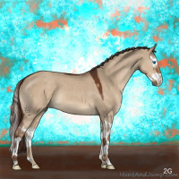 Horse Color:Liver Red Dun Sabino Splash 