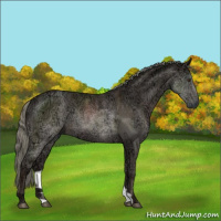 Horse Color:Liver Chestnut Ice Mushroom 