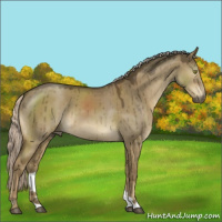 Horse Color:Chocolate Palomino Dun Mushroom Sabino Brindle