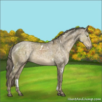 Horse Color:White Spotted Chocolate Palomino Ice Dun Mushroom 