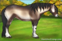 Horse Color:Brown Onyx Mushroom Sabino