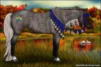 Horse Color:Midnight Silver Brown Roan 