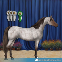 Horse Color:Liver Red Roan 