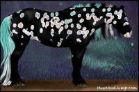 Horse Color:Watercolor Brown Onyx Splash Appaloosa Rabicano 