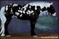Horse Color:Watercolor Brown Onyx Splash Appaloosa 