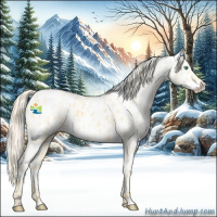 Horse Color:Gold Cream Champagne Dun Appaloosa  and Gold Cream Champagne Dun Appaloosa 