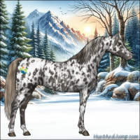 Horse Color:Smoky Black Appaloosa  and Smoky Black Appaloosa 