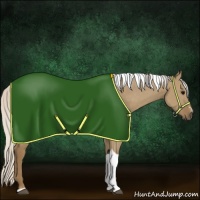 Horse Color:Silver Smoky Grullo Sabino Tobiano Rabicano 
