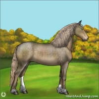 Horse Color:Chocolate Palomino Roan 
