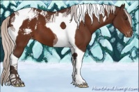 Horse Color:Silver Brown Tobiano Varnish