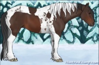 Horse Color:Brown Tobiano 