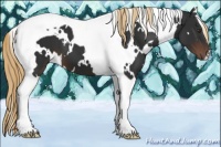 Horse Color:White Spotted Liver Chestnut Tobiano 