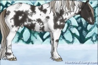 Horse Color:White Spotted Liver Chestnut Tobiano 