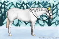 Horse Color:Amber Cream Champagne Splash Tobiano Frame Appaloosa Rabicano
