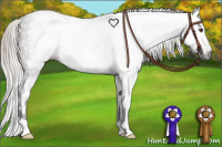 Horse Color:Gray White Spotted Silver Brown 