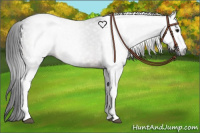 Horse Color:Gray White Spotted Brown 