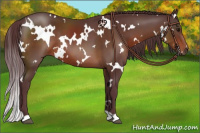 Horse Color:White Spotted Chocolate Brown 