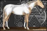 Horse Color:Gold Champagne Near Fewspot
