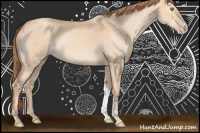 Horse Color:Gold Champagne Dun