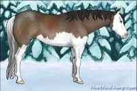 Horse Color:Brown Splash