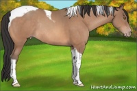 Horse Color:Sable Champagne Tobiano Rabicano