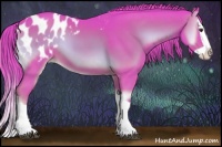 Horse Color:Watercolor Red Onyx Splash Appaloosa 