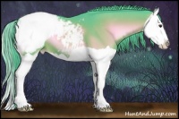 Horse Color:Watercolor Red Onyx Splash Appaloosa 