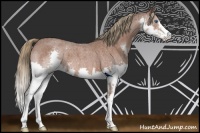 Horse Color:Liver Red Roan Sabino Splash 