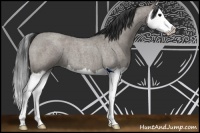 Horse Color:Grullo Roan Splash 