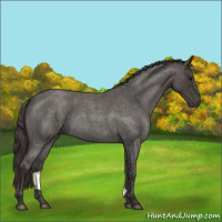 Horse Color:Smoky Blue Roan 