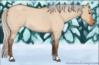 Horse Color:Silver Bay Roan Dun 