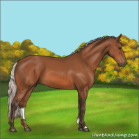 Horse Color:Silver Bay 