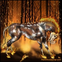 Horse Color:White Spotted Bay 