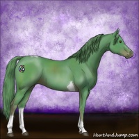 Horse Color:Watercolor Liver Chestnut Tobiano 