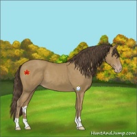 Horse Color:Classic Cream Champagne 