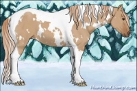 Horse Color:White Spotted Red Dun Tobiano