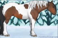 Horse Color:Bay Tobiano