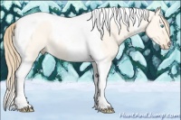 Horse Color:Perlino Dun Tobiano