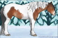 Horse Color:Bay Tobiano 