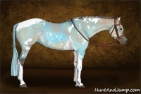 Horse Color:White Spotted Silver Brown Dun Tobiano Rabicano