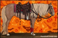 Horse Color:Chestnut Rabicano 
