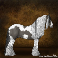 Horse Color:Gray Grullo Tobiano Frame 